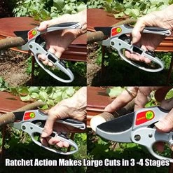 Pruners|Ratchet Anvil Garden Shears|Tool For Weak Hands|Great Gift For Gardeners|Ratcheting Action -Garden Supply Store 6101vqdABdL