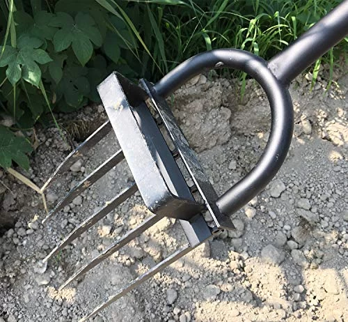 5-Tine Heavy Duty Pitch Fork For Gardening – Long Handled Digging Fork Garden Claw Weeder 3 5-Tine Heavy Duty Pitch Fork For Gardening – Long Handled Digging Fork Garden Claw Weeder - Image 3
