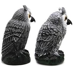 Hausse 2 Pack Fake Horned Owl Decoy, Nature Enemy Pest Repellent For Outdoor Garden Yard -Garden Supply Store 6122tnJr7NL