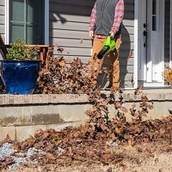 Greenworks 40V 125 Mph – 450 Cfm Cordless Jet Blower, 2.0 Ah Battery And Charger Included BLF346 -Garden Supply Store 6124d3JVznL