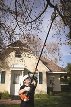 Remington RM2599 Maverick 25cc 2-Cycle 8-Inch Gas Pole Saw -Garden Supply Store 612B0uWUDr L