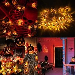 Toodour Halloween Pumpkin Lights – 2 Packs 30 LED Battery Operated Halloween Decorations String Lights -Garden Supply Store 612B5PeSA5qL