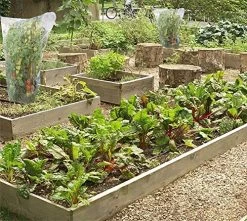 Sirozi 4 Pack Plant Insect Bird Barrier Net Mesh With Drawstring, 3.5Ftx2.3Ft Plant Protective Cover Garden Flower… -Garden Supply Store 612BV7RBdw L