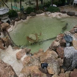 Pond Armor SKU-TAN-GA Non-Toxic Pond Shield Epoxy Paint, 1.5-Gallon, Tan 9 Pond Armor SKU-TAN-GA Non-Toxic Pond Shield Epoxy Paint, 1.5-Gallon, Tan -Garden Supply Store 615ks6V3rAL