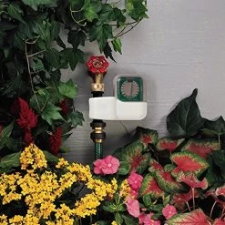 Orbit 62024 Single-Dial Hose Watering Digital Timer -Garden Supply Store 617ZbnT3aYL