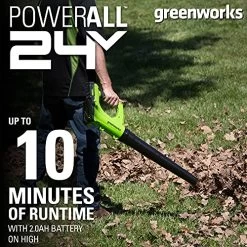 Greenworks 24V Cordless Jet Blower, 2.0 AH Battery Included -Garden Supply Store 618PCiZDodS