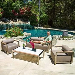 Cast Stone Fountain With LED Lights And Two Birds Playing Low Splash Design For Garden/Patio/Balcony/Lawn Decor Pump… -Garden Supply Store 61AaKY8YJAL