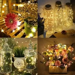 AMIR String Lights -Garden Supply Store 61CtTSSfxFL