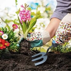 Hortem 5PCS Lightweight Gardening Hand Tools Set- Heavy Duty Comfortable Garden Tools Set Include Garden Trowel, Hand… 10 Hortem 5PCS Lightweight Gardening Hand Tools Set- Heavy Duty Comfortable Garden Tools Set Include Garden Trowel, Hand… -Garden Supply Store 61EzIYepYAL