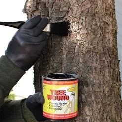 Tanglefoot Tree Wound Pruning Sealer & Grafting Compound 16 OZ -Garden Supply Store 61LL0yVE1wL