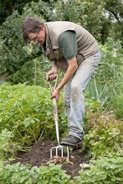 Bosmere Spear And Jackson R720 Traditional Mirror Finish Stainless Steel Head Border Fork -Garden Supply Store 61MWJwoMksL