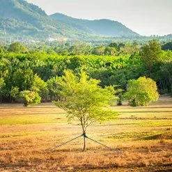 Gabrella 16pcs Tree Straps, Nylon Tree Straightening Ties Reinforced Straps, Strong Rope For Plant Fix, Suitable For Young Tree, Newky Planted Saplings And Hurricane Protection, 16 Inch 13 Gabrella 16pcs Tree Straps, Nylon Tree Straightening Ties Reinforced Straps, Strong Rope For Plant Fix, Suitable For Young Tree, Newky Planted Saplings And Hurricane Protection, 16 Inch -Garden Supply Store 61MiTbl21dL