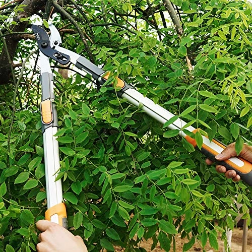 AIRAJ 3Pcs Professional Hedge Lopper Set,27″ Tree Loppers,24” Heavy Duty Hedge Shears And 7.5” Cut Easy Hand Pruners,The Best Choice For Garden Tools 5 AIRAJ 3Pcs Professional Hedge Lopper Set,27″ Tree Loppers,24” Heavy Duty Hedge Shears And 7.5” Cut Easy Hand Pruners,The Best Choice For Garden Tools - Image 5