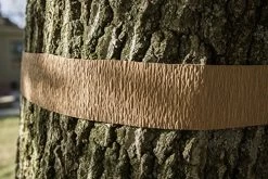 Tanglefoot Tree Care Kit – Tree Insect Barrier & Tangle-Guard Wrap Combo -Garden Supply Store 61Neu38ANaL