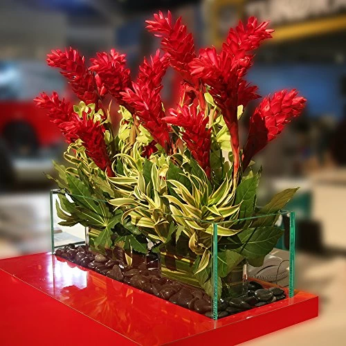 Landscape Garden Pebbles – Natural Decorative Stones (black) 3 Landscape Garden Pebbles – Natural Decorative Stones (black) - Image 3