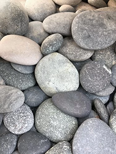 Landscape Garden Pebbles – Gray Stones 1-3″ (Mixed Sizes) (22) 1 Landscape Garden Pebbles – Gray Stones 1-3″ (Mixed Sizes) (22)