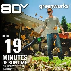 Greenworks PRO 80V 145 MPH – 580 CFM Cordless Jet Blower, 2.5 AH Battery Included BL80L2510 -Garden Supply Store 61UwzcUqATL