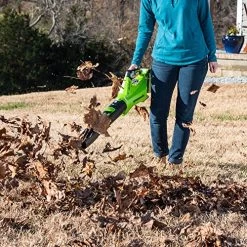 Greenworks 40V 125 Mph – 450 Cfm Cordless Jet Blower, 2.0 Ah Battery And Charger Included BLF346 -Garden Supply Store 61by79PQUbL