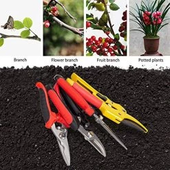 KOTTO 4 Packs Pruner Shears Garden Cutter Clippers, Stainless Steel Sharp Pruner Secateurs, Professional Bypass Pruning… -Garden Supply Store 61eRXH QqAL