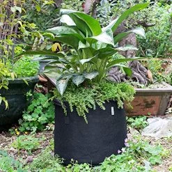 MELONFARM 5-Pack 10 Gallon Grow Bags Heavy Duty Aeration Fabric Pots,Thickened Non-Woven With Durable Handles, For Plant… -Garden Supply Store 61jYyzU0BTL