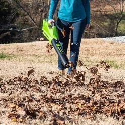 Greenworks 40V 125 Mph – 450 Cfm Cordless Jet Blower, 2.0 Ah Battery And Charger Included BLF346 -Garden Supply Store 61jt4HOmeYL