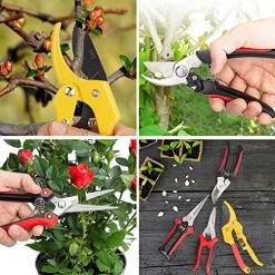KOTTO 4 Packs Pruner Shears Garden Cutter Clippers, Stainless Steel Sharp Pruner Secateurs, Professional Bypass Pruning… -Garden Supply Store 61lIW2Fi3SL