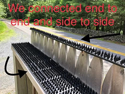 Critter Pricker Raccoon Deterrent Proven Humane Dog Cat Garden Wall Defender And Pest Control 10 Connectable Spikes On… 7 Critter Pricker Raccoon Deterrent Proven Humane Dog Cat Garden Wall Defender And Pest Control 10 Connectable Spikes On… - Image 7