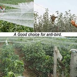 33 X 13 Ft Anti Bird Net Anti Bird Mesh Netting Anti Bird Protection Net For Garden Plant Fruit Crop Cage Protection… -Garden Supply Store 61nQIqVmtOL