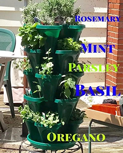 5-Tier Stackable Strawberry, Herb, Flower, & Vegetable Planter – Vertical Gardening Indoor/Outdoor Stacking Garden Pots… 4 5-Tier Stackable Strawberry, Herb, Flower, & Vegetable Planter – Vertical Gardening Indoor/Outdoor Stacking Garden Pots… - Image 4