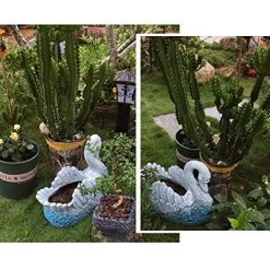 Blue Swan Shape Large Plant Pot Hand Cast Stone Embossed Flower Garden Ornament Heavy Flower Planter Basket Decor… -Garden Supply Store 61oPvDL41pL