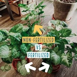 MARPHYL Organic Liquid Fertilizer – Indoor & Outdoor House Plant Fertilizer – All-Purpose Nutrient-Rich Plant Food… -Garden Supply Store 61pjYWhqYTL