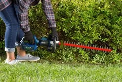 Zombi Power Tools ZCS12017 13-Amp Corded Electric Chainsaw With Oregon Bar & Chain, Black/Blue, 16″, 120-Volt -Garden Supply Store 61sM5UF2BPvL