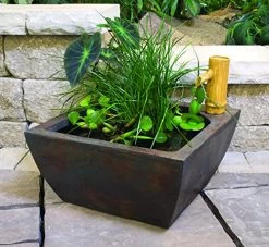 Aquascape Aquatic Patio Pond Water Garden With Bamboo Fountain, 16-Inch | 78197 -Garden Supply Store 61wy2BwryM8L