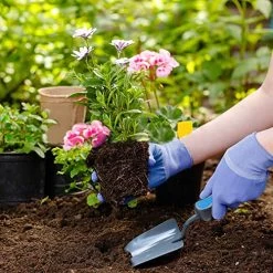 Hortem 5PCS Lightweight Gardening Hand Tools Set- Heavy Duty Comfortable Garden Tools Set Include Garden Trowel, Hand… 11 Hortem 5PCS Lightweight Gardening Hand Tools Set- Heavy Duty Comfortable Garden Tools Set Include Garden Trowel, Hand… -Garden Supply Store 61xKCFKnNAL