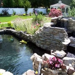 Pond Armor SKU-Black-QT-R Non Toxic Pond Shield Epoxy Paint, 1.5-Quart, Black 9 Pond Armor SKU-Black-QT-R Non Toxic Pond Shield Epoxy Paint, 1.5-Quart, Black -Garden Supply Store 61zmx69iB7L