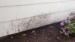 Sun Joe SPX201E 1350 PSI 1.45 GPM 10-Amp Electric Pressure Washer -Garden Supply Store B1RmKkNHDiS