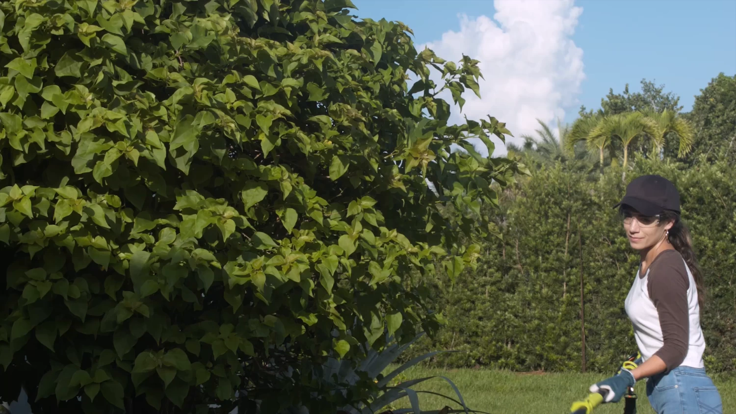 Sun Joe SJH901E Electric Telescoping Pole Hedge Trimmer, 18″ 6 Sun Joe SJH901E Electric Telescoping Pole Hedge Trimmer, 18″ - Image 6